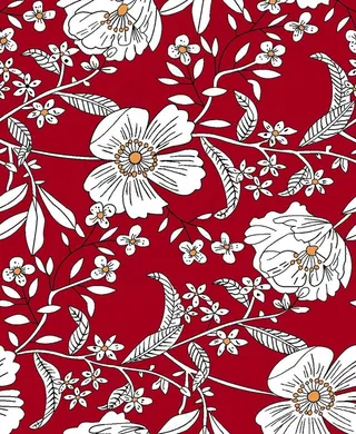 热带花 手绘花图片