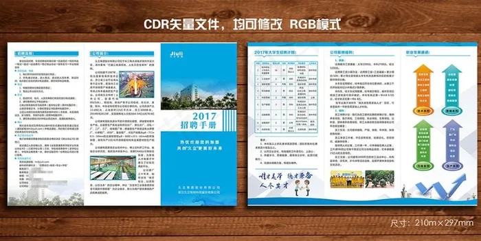 企业招聘 三折页图片cdr矢量模版下载