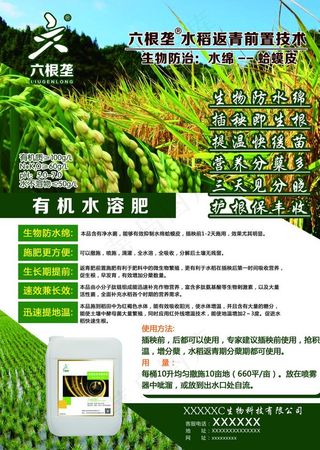 六根垄 水稻 微生物 化肥图片
