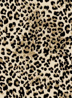 豹纹图片 豹纹图片