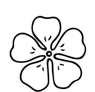 植物花朵简笔画图片