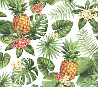 菠萝鸡蛋花龟背竹背景图图片