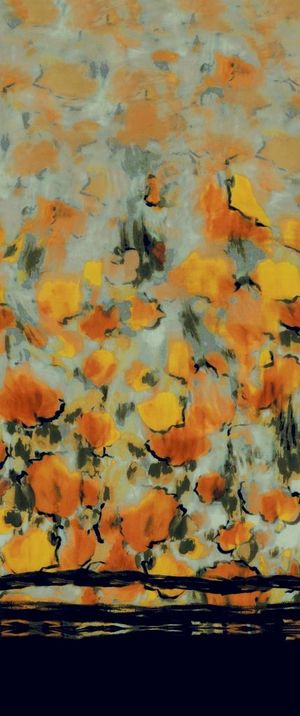 定位抽象花图片