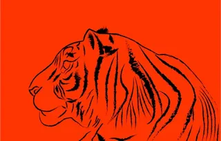 手绘老虎图片