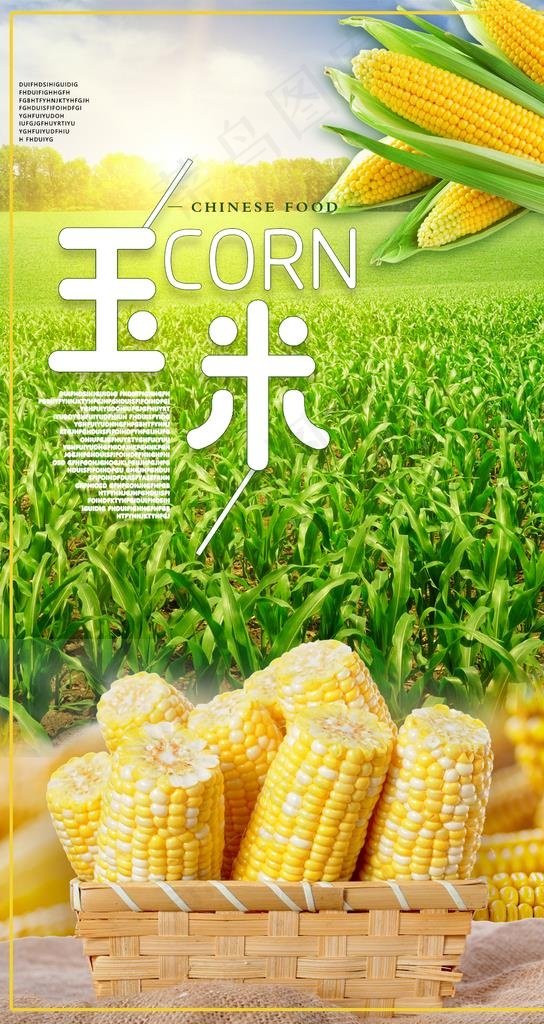 玉米图片