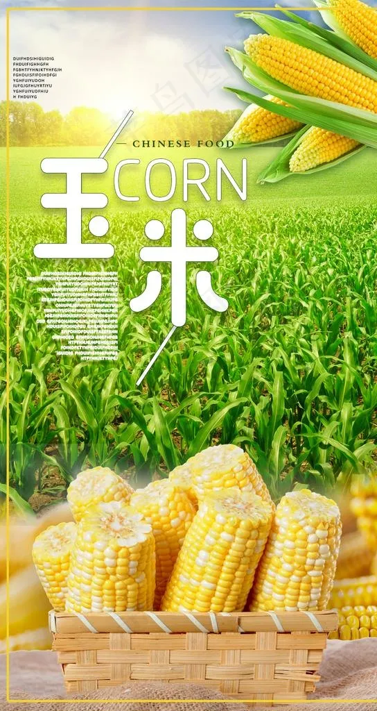玉米图片