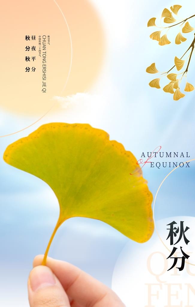 秋分  图片(3543x5315)psd模版下载