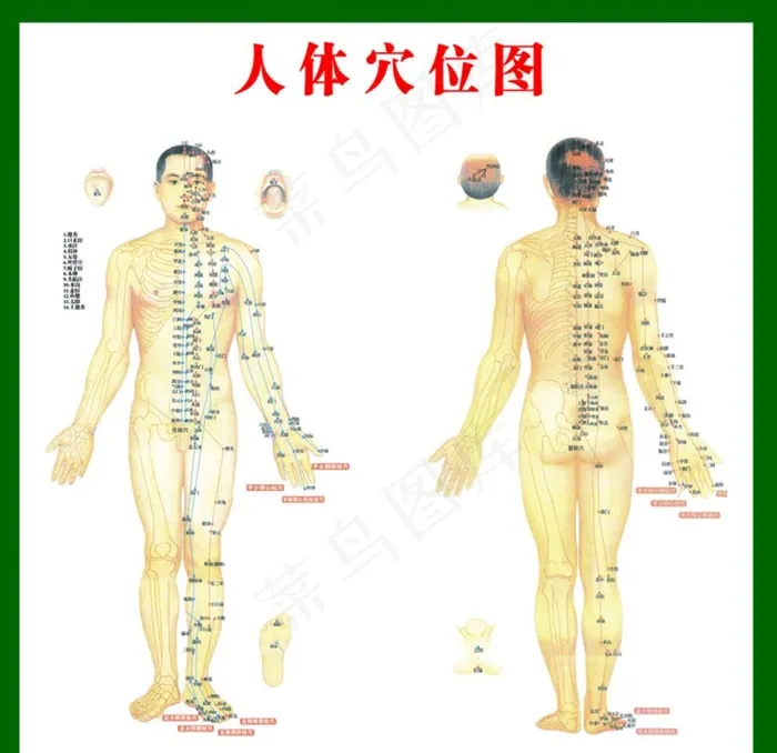 人体穴位图图片(4724x4724)psd模版下载