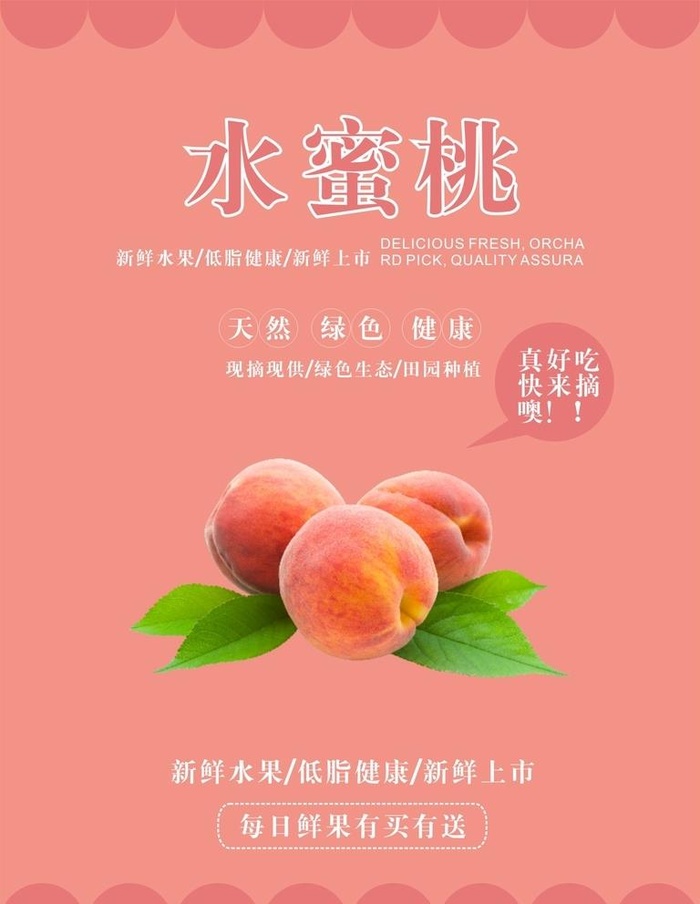水蜜桃海报图片cdr矢量模版下载