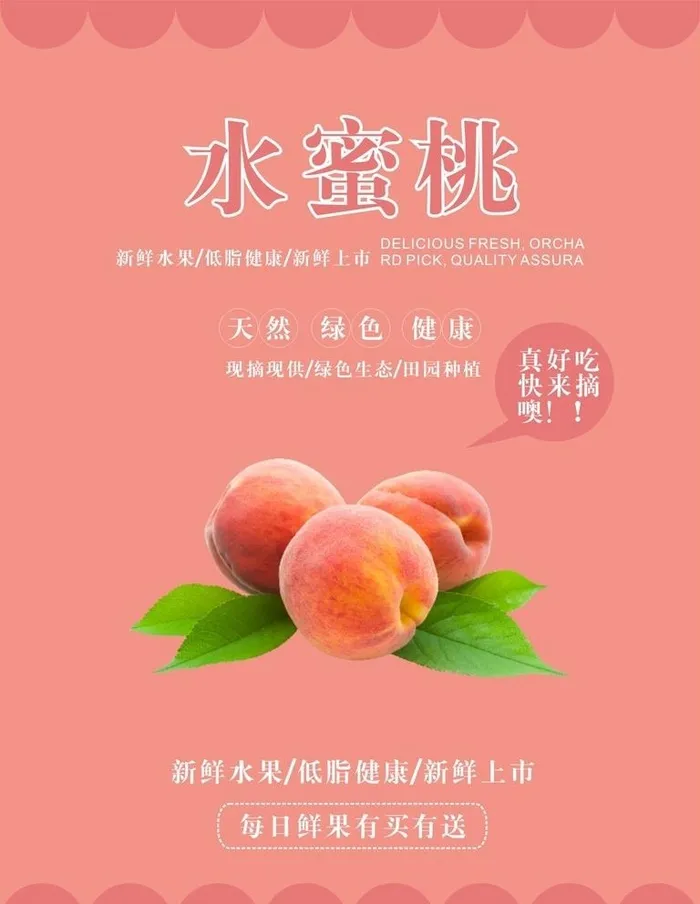 水蜜桃海报图片cdr矢量模版下载