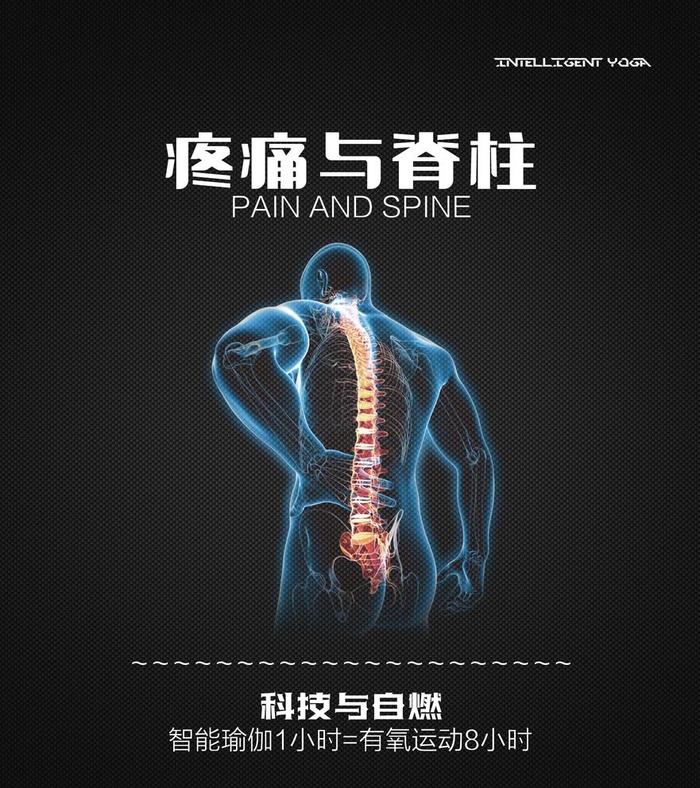 疼痛与脊柱图片
