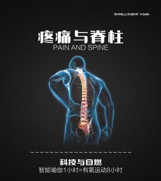 疼痛与脊柱图片