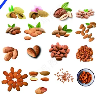坚果图片