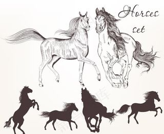 手绘马图片