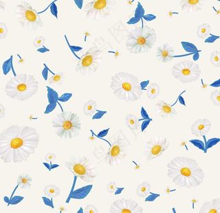 小碎花 菊花图片