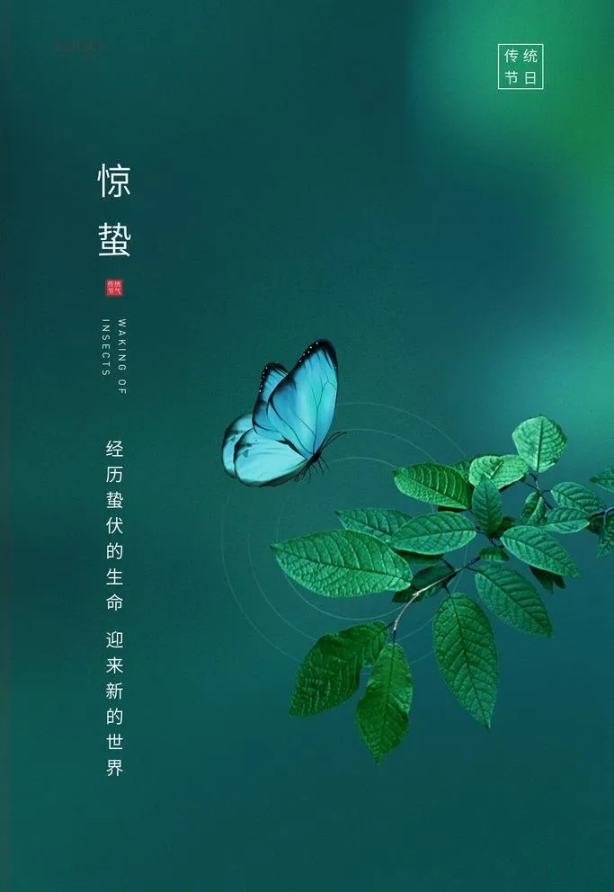 惊蛰图片(3543x5315)psd模版下载