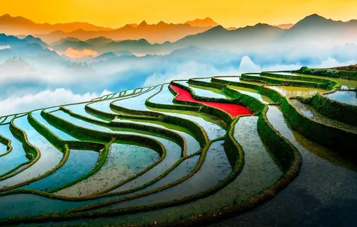 红河哈尼水稻梯田图片