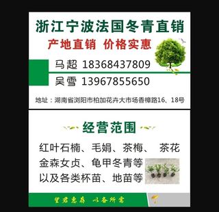 树苗名片图片