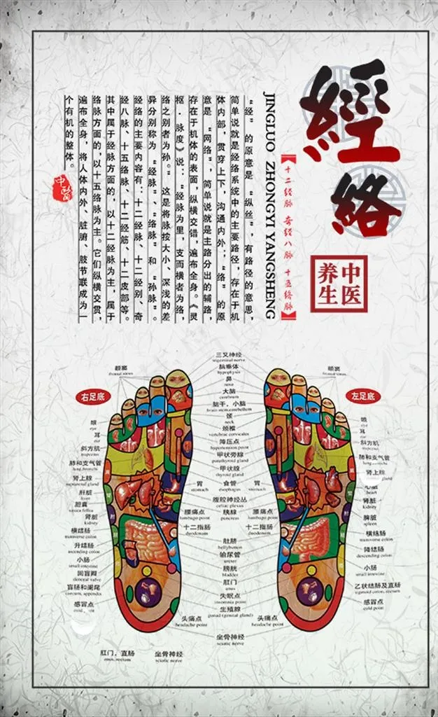 中医养生脚底经络图片psd模版下载