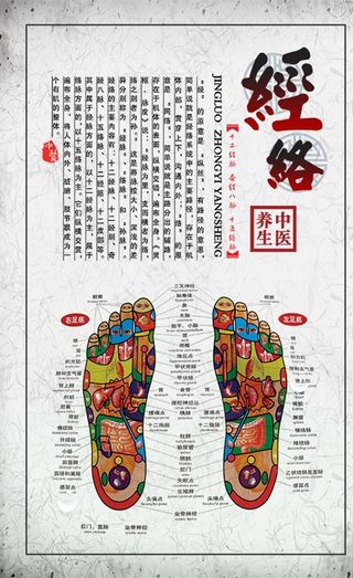 中医养生脚底经络图片