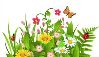 矢量花草图图片