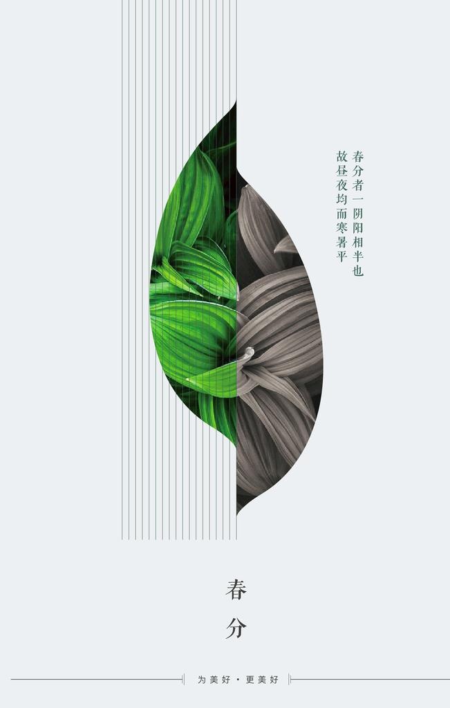 春分 图片(3543x5315)psd模版下载