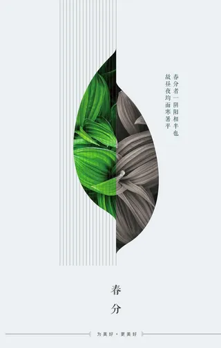 春分 图片