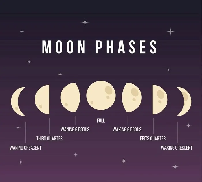 月相图图片ai矢量模版下载