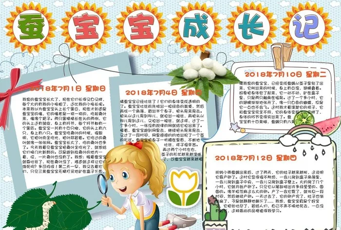 蚕宝宝成长小报图片(4961x3508)psd模版下载
