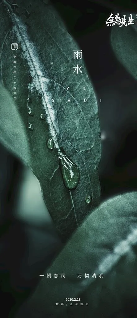 雨水海报图片(1080x2330)psd模版下载
