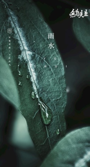 雨水海报图片
