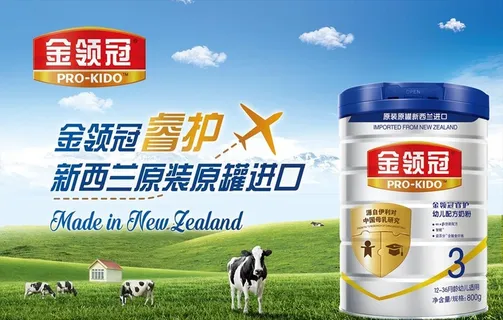 金领冠伊利奶粉吊旗图片