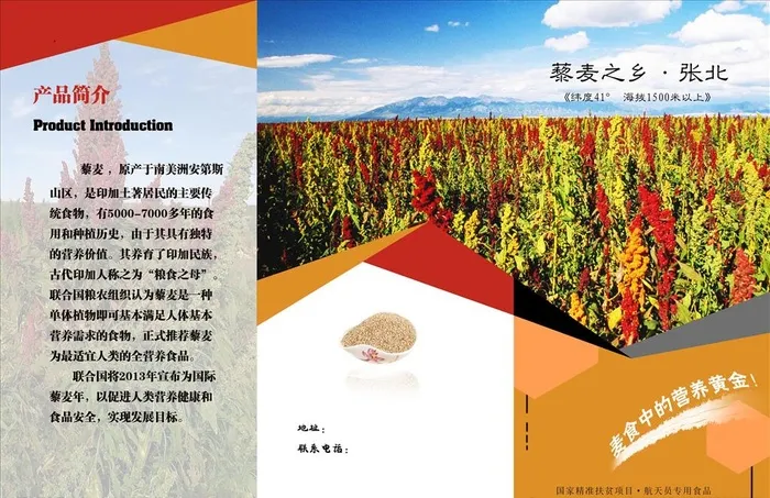藜麦宣传三折页图片(4961x3366)psd模版下载