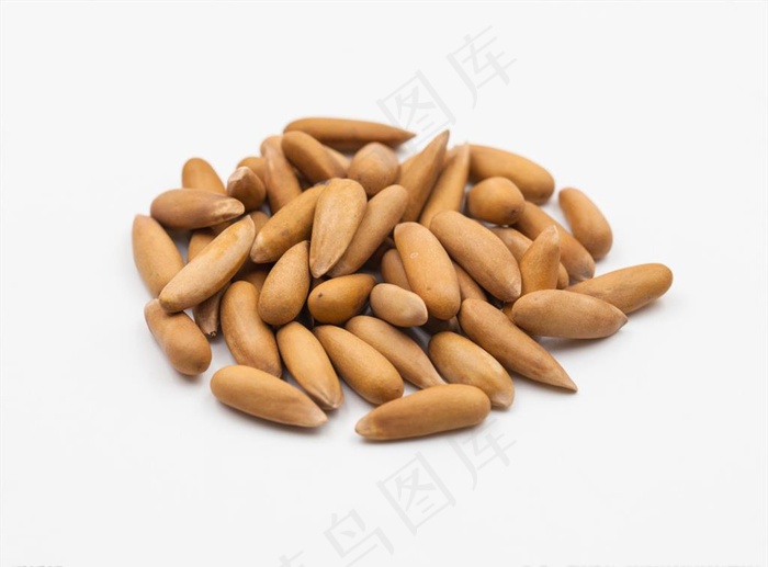 巴西松子图片