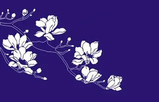 梨花矢量图图片