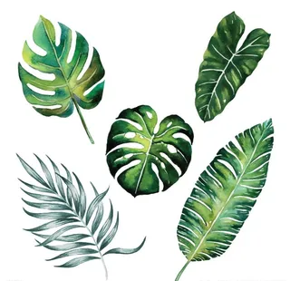 手绘热带植物花卉图案矢量素图片