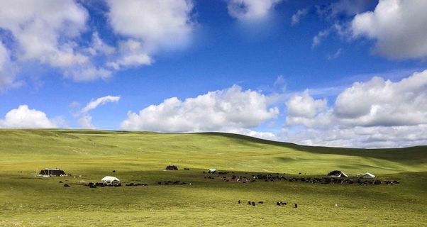 草原风景图图片