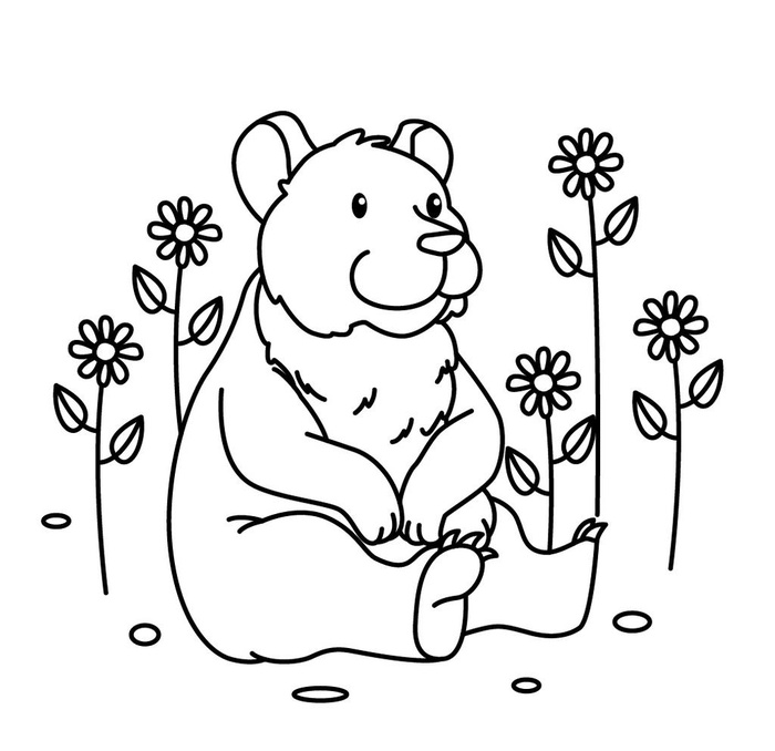 简笔画图片