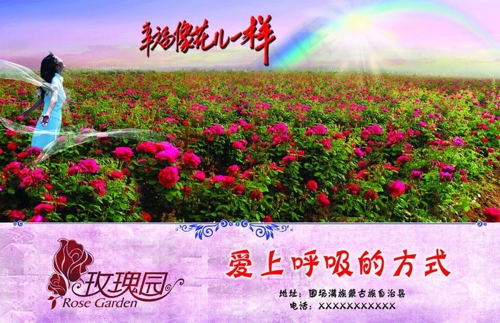 玫瑰园图片