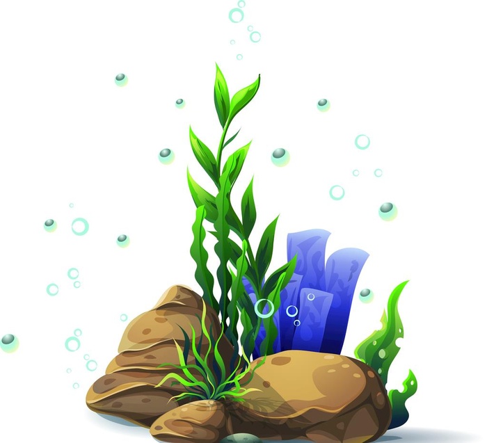 矢量海草图片
