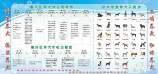 文明养犬展板图片