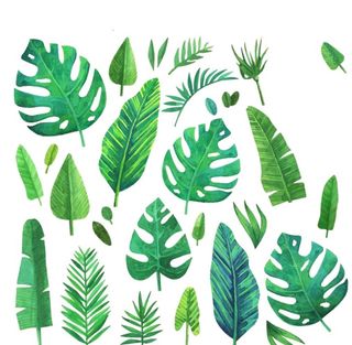 绿叶 绿植矢量图图片