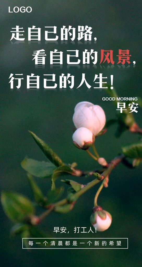 早安海报 问候海报 花朵图片