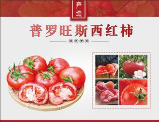 普罗旺斯西红柿图片