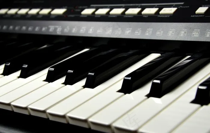 钢琴键图片