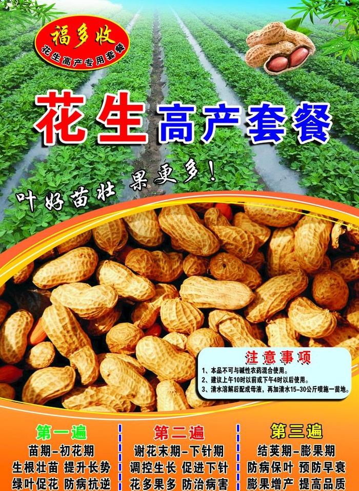 花生海报图片