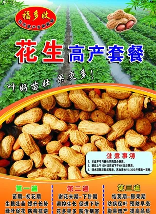 花生海报图片