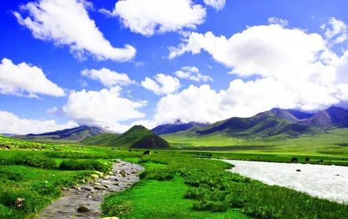 西藏风景雪山草原小溪蓝天白云图片 西藏风景雪山草原小溪蓝天白云图片