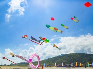 风筝放飞图片