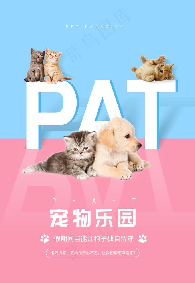 宠物海报图片